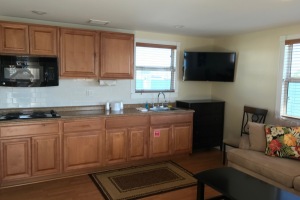 kitchen and living room