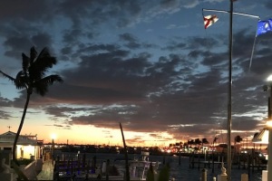 sunset and palm trees