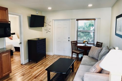 Deluxe Suite with Sleeper Sofa